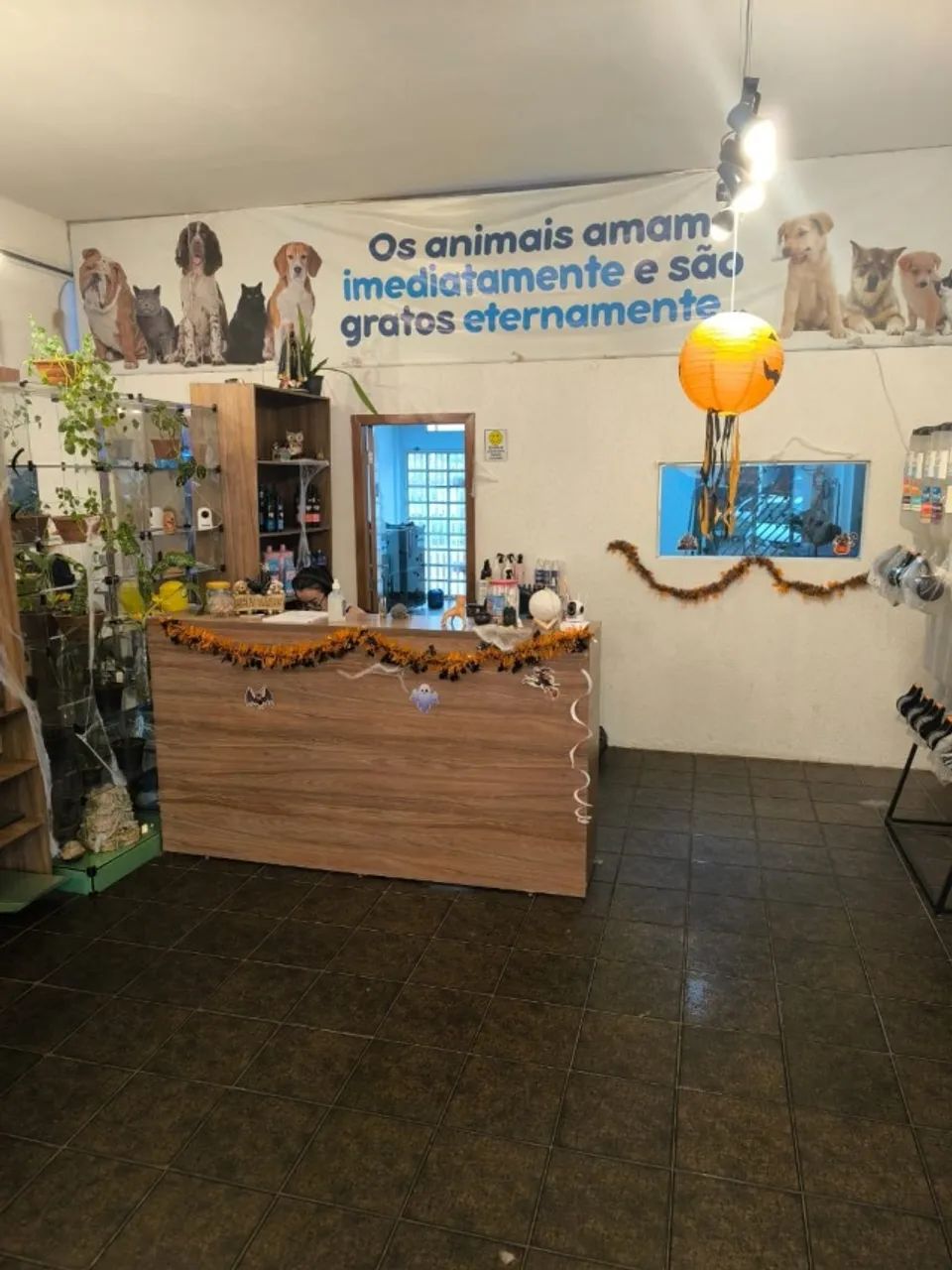 Pet shop a venda em pleno Funcionamento - Foto 3