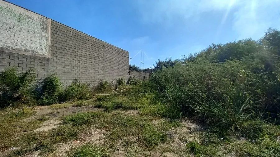 TERRENO NO ALÉM PONTE - Foto 2