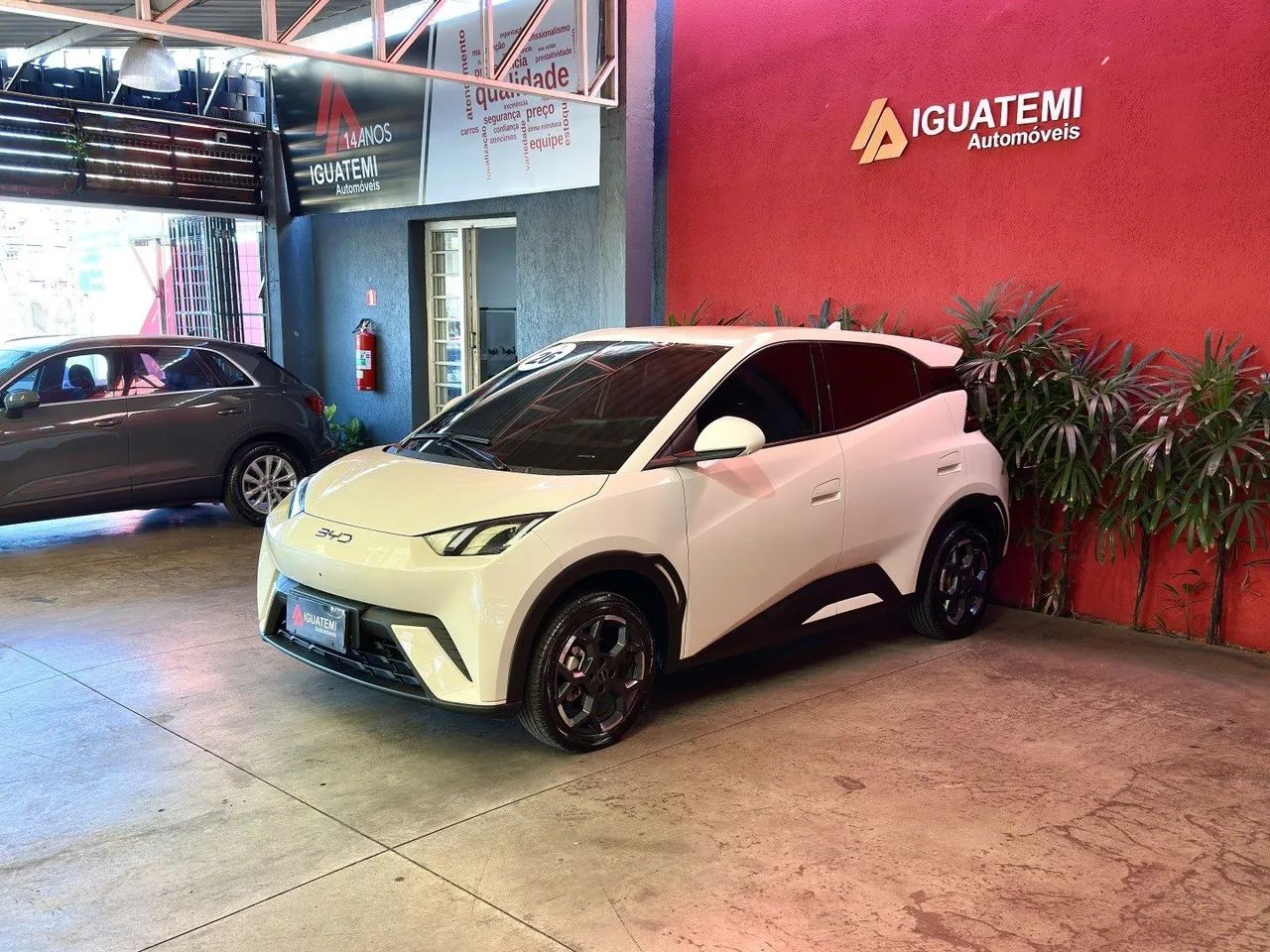 BYD Dolphin Mini (Elétrico) 2026 - Foto 4