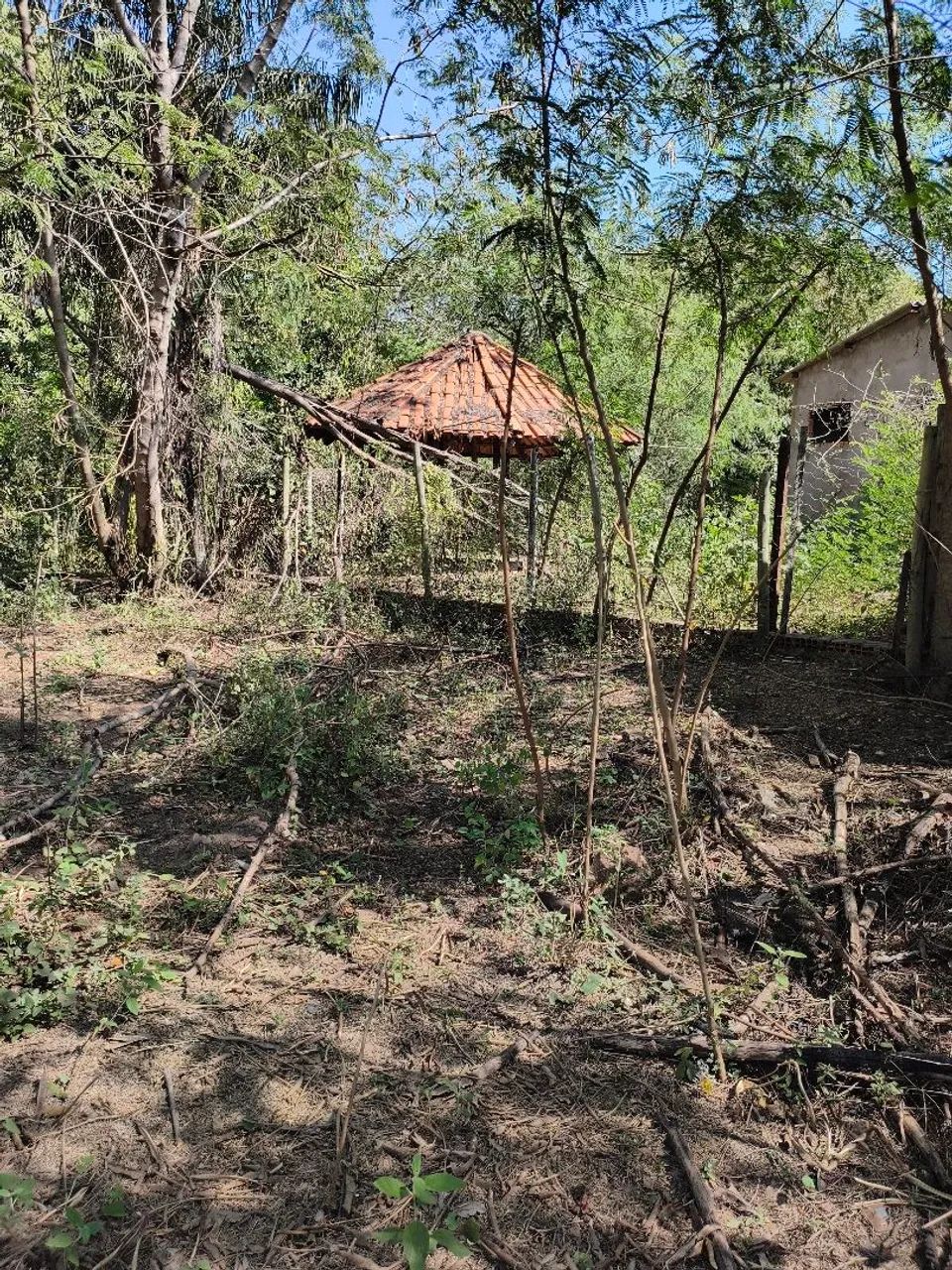 Oportunidade, Vendo Chácara com 9 hectares com 4 casas e 1 barracão. - Foto 5