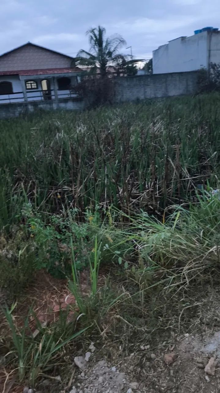 Lote TOP em Jaconé - Foto 3