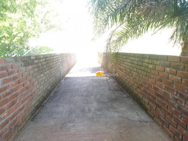 Sítio para alugar, 6500 m² por R$ 1.180,00/mês - Zona Rural - Colinas/RS - Foto 11