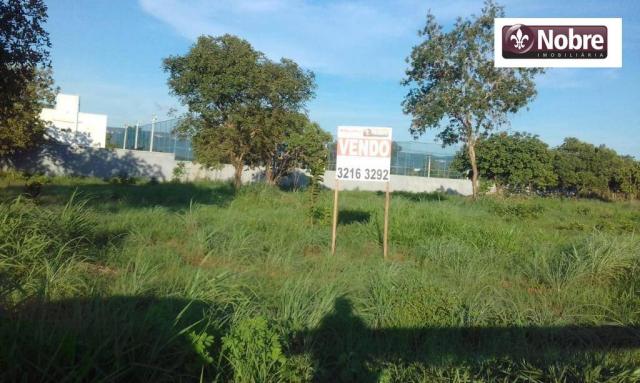 Terreno à venda, 2067 m² por r$ 399.000 - plano diretor norte - palmas/to - Foto 2