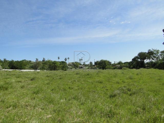 Terreno à venda em Praia do lessa, Imarui cod:30084 - Foto 15
