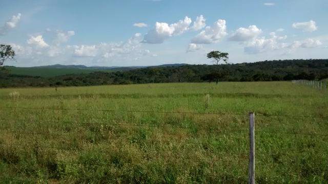 Fazenda de 4 alqueires para pecuária a venda na região de Caldas Novas GO - Foto 8