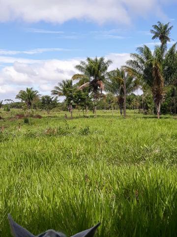 Fazenda