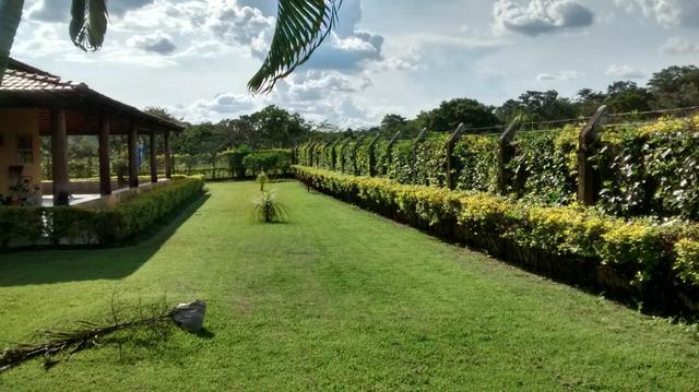 Fazenda de 4 alqueires para pecuária a venda na região de Caldas Novas GO