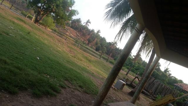 Fazenda do alagoano a venda - Foto 4