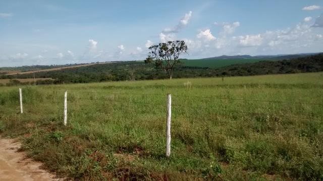 Fazenda de 4 alqueires para pecuária a venda na região de Caldas Novas GO - Foto 10
