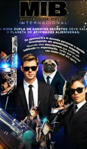 Pug filhotes - Foto 6