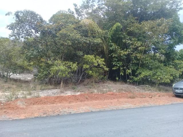 Transferencia,lote 1.000 M², Chacara Janauary 1 - Foto 12