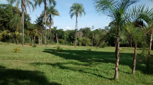 Fazenda de 4 alqueires para pecuária a venda na região de Caldas Novas GO - Foto 13