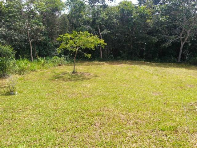 Excelente chácara em Luziânia com córrego nos fundos - Foto 16
