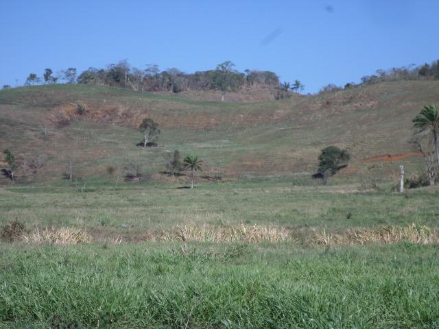 Fazenda de 154 alqueires em Silva Jardim, RJ - Foto 15