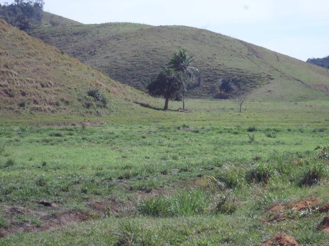 Fazenda de 154 alqueires em Silva Jardim, RJ - Foto 14