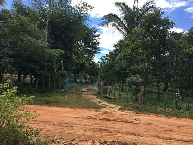 Sítio em Altos/PI, documentação ok - Foto 15