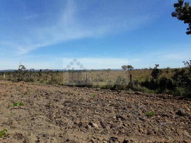 Fazenda no Mato Grosso 5.276 ha venda total - parcial ou permuta - Foto 7