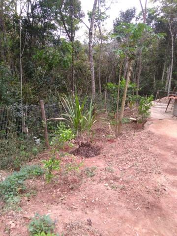 Casa para alugar com 2 dormitórios em Acuruí, Itabirito cod:1726 - Foto 16