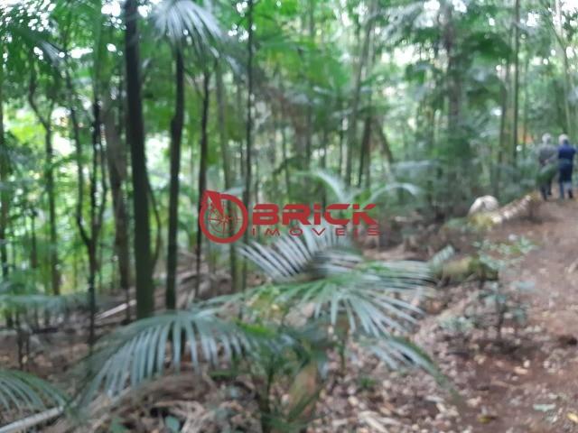Ótimo terreno com 7390 m² no bom retiro. teresópolis- rj. - Foto 13
