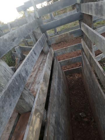 Sitio em Acorizal com 38.2 hectares - Foto 8