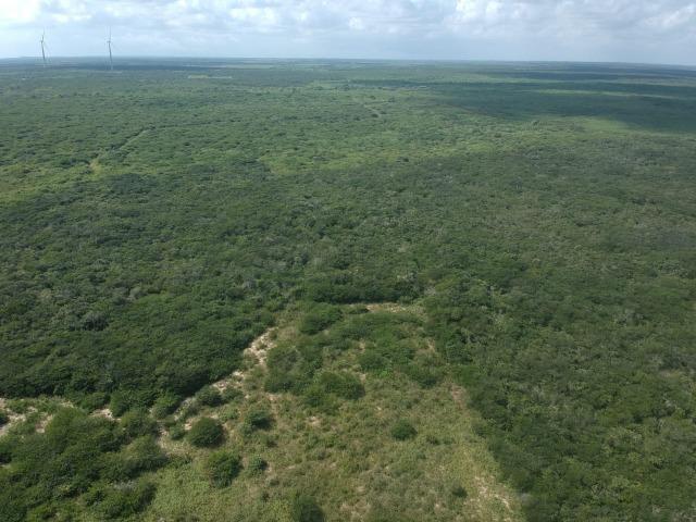 Terreno plano de 15 hectares à 4 km do centro - Foto 7