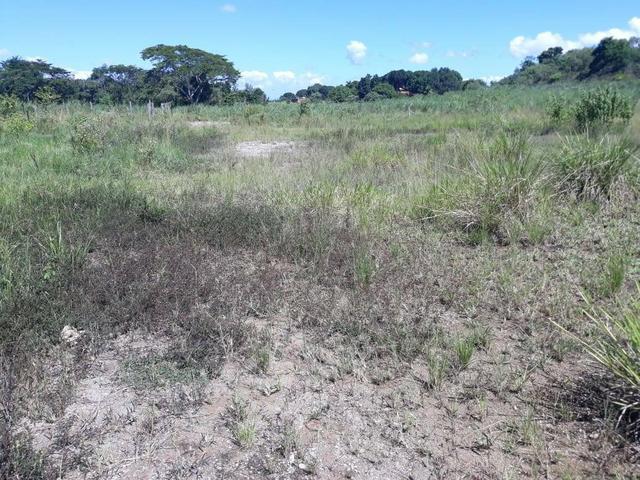 Belíssimo terreno em Guapimirim - Parada Ideal R$ 13 mil oportunidade!!! - Foto 2