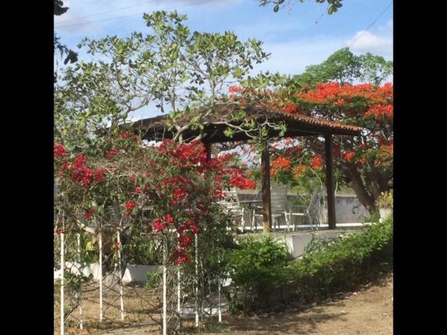 Chácara para locação anual ou residencial em Gravatá/PE - REF. 487 - Foto 7
