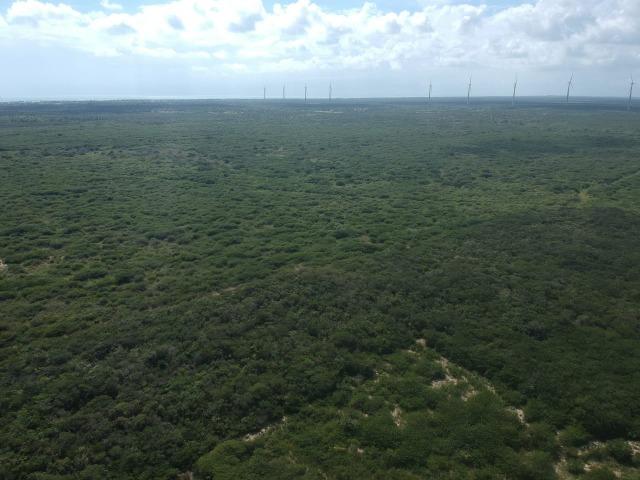 Terreno plano de 15 hectares à 4 km do centro - Foto 16