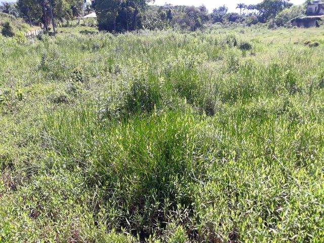Belíssimo terreno em Guapimirim - Parada Ideal R$ 13 mil oportunidade!!! - Foto 9