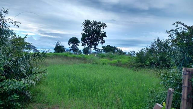 Fazenda 320 ha 100 km de Cuiaba