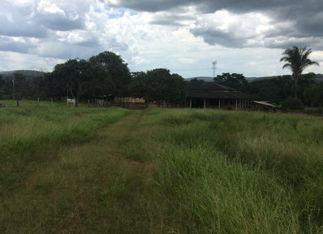 Fazenda de pecuária a venda 12 km porto nacional - Foto 3