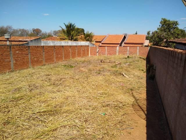 Lote Jardim Romano Av. Roma Morrinhos