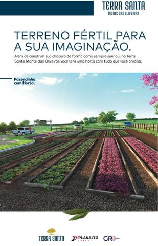Chácaras em Trindade- Go Monte das Oliveiras / Arca Parque - Foto 4