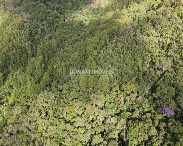 Ampla Área de Terreno à Venda na Região do Alpes de Campos do Jordão - Campos do Jordão/SP - Foto 16