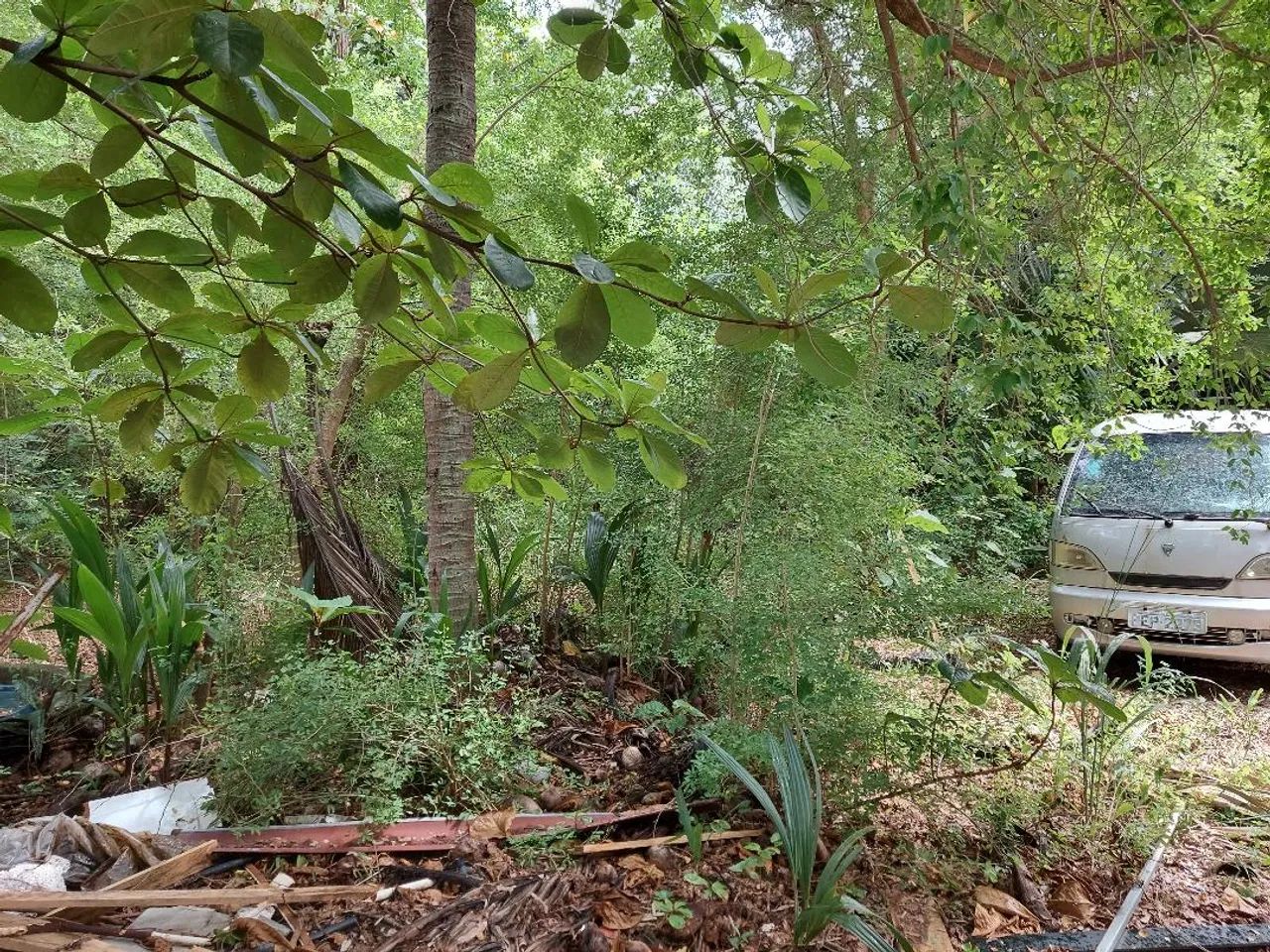VENDO TERRENO DENTRO DE CONDOMÍNIO  com 560M² no Pina - Recife - PE - Foto 5