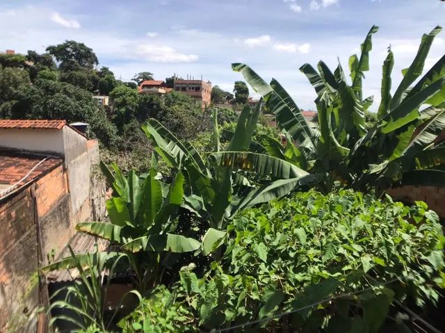 Lote à venda, Palmeiras - Belo Horizonte/MG - Foto 4