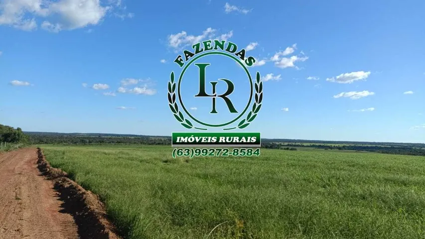 Fazenda 377 Hectares Plantando Vale do Araguaia