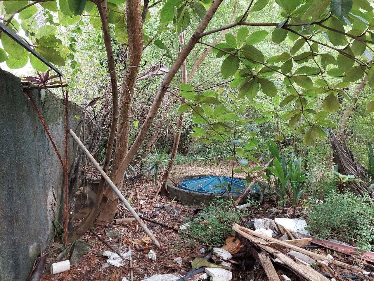 VENDO TERRENO DENTRO DE CONDOMÍNIO  com 560M² no Pina - Recife - PE - Foto 4