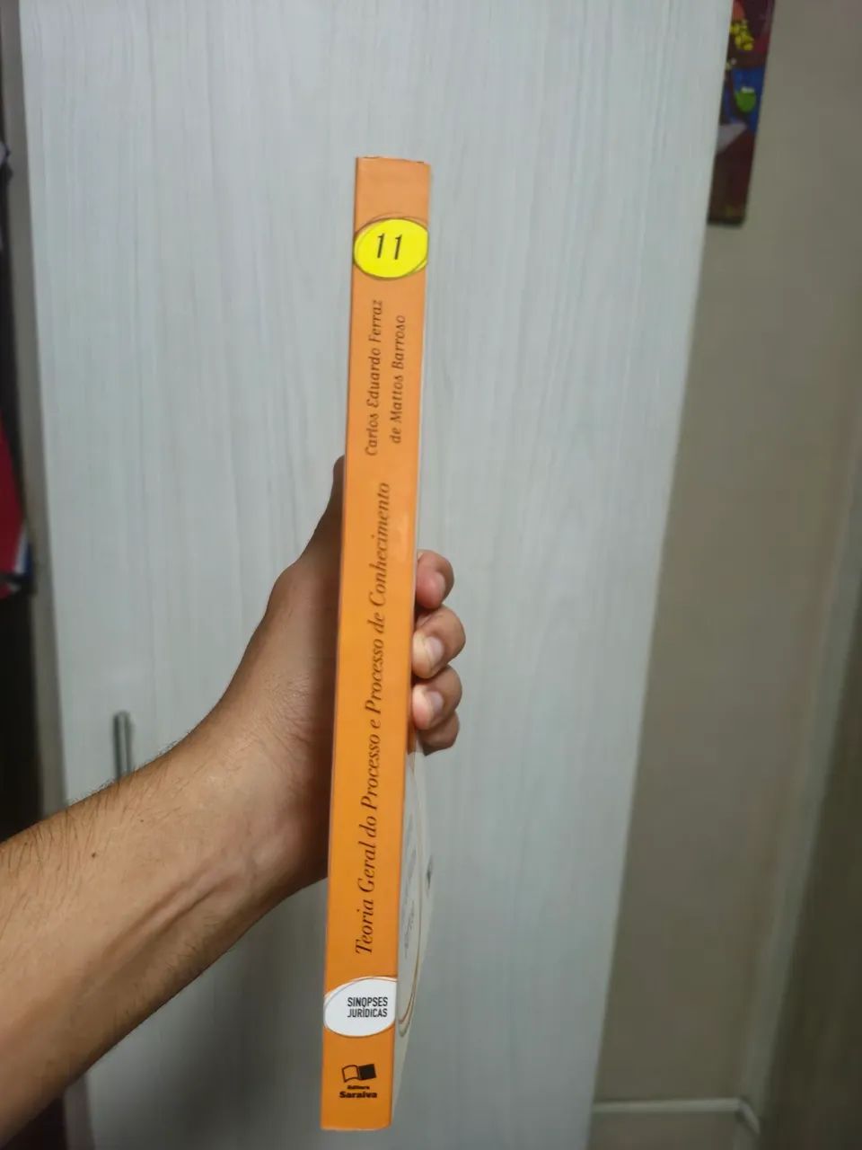 Teoria Geral do Processo e Processo do Conhecimento  - Foto 2