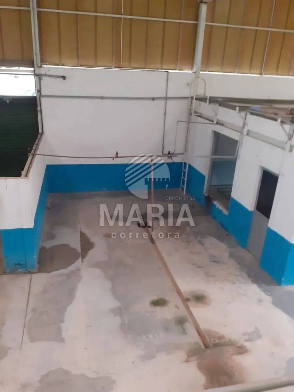 Galpão para alugar em Amaraji/PE, com 01 hectare terreno! - Foto 4