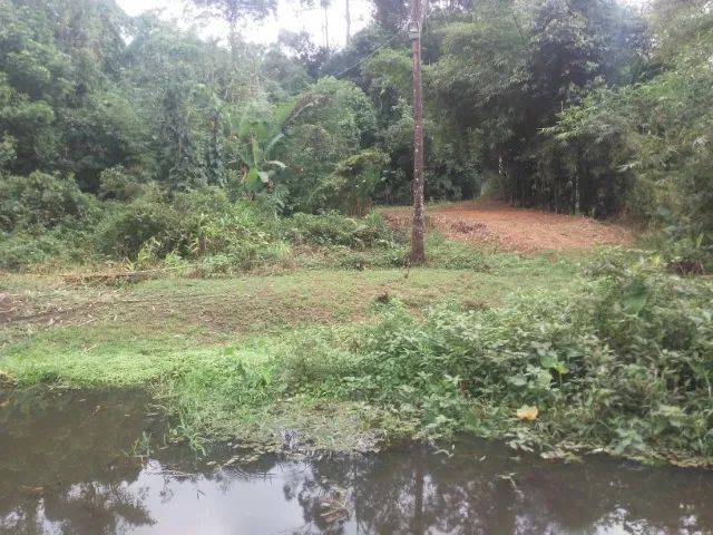 Lindo Sitio em Nova Iguaçu. Sossego, paz e segurança. 1,5 hectare - Foto 3