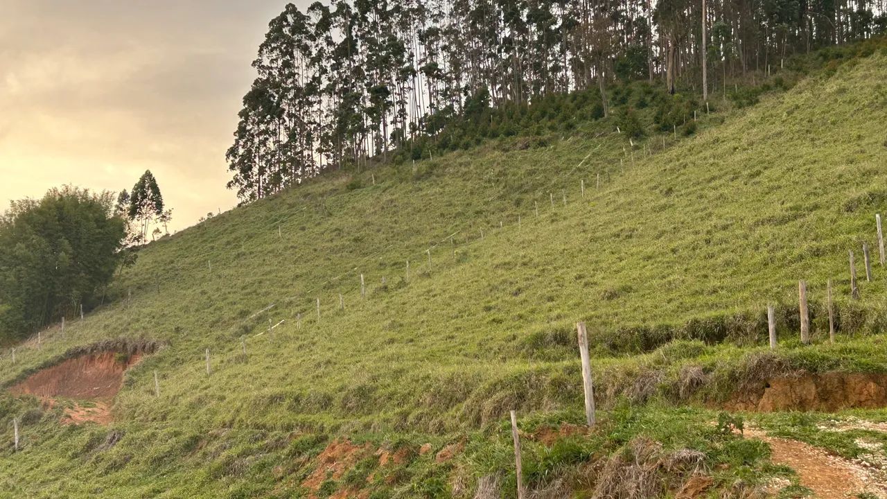 Fazenda Frente da Represa de Paraibuna. - Foto 13