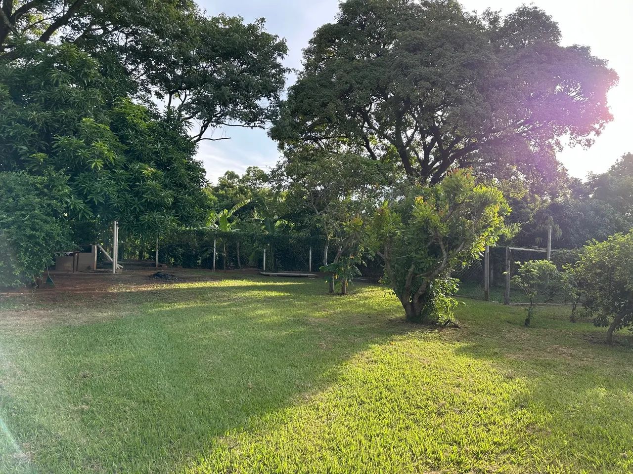 Chácara pé de cedro - Foto 7