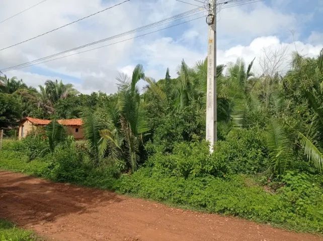 Terreno 30×40 Em Timon-MA - Foto 2