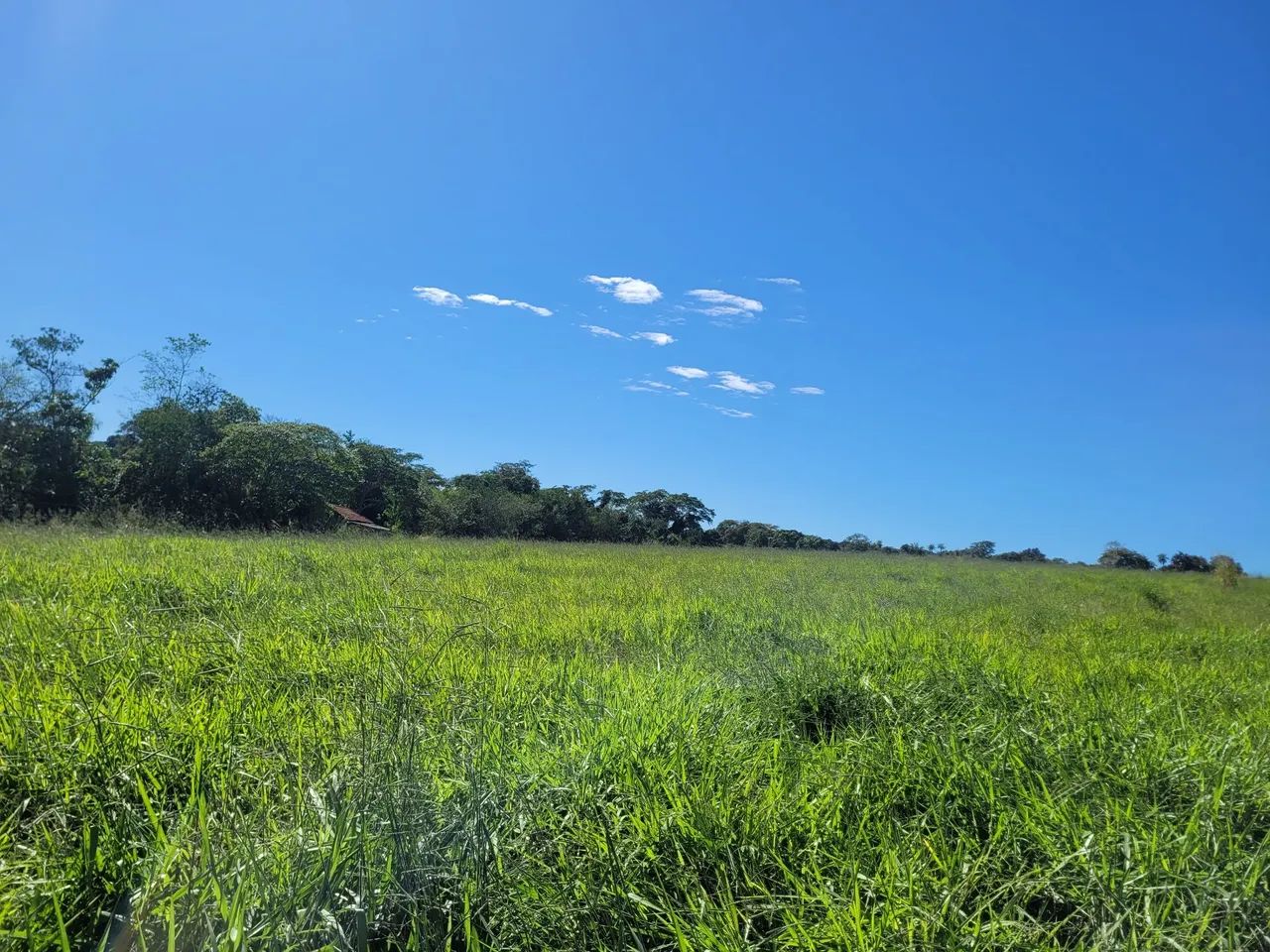 Área em Coxim, venda ou arrendamento.