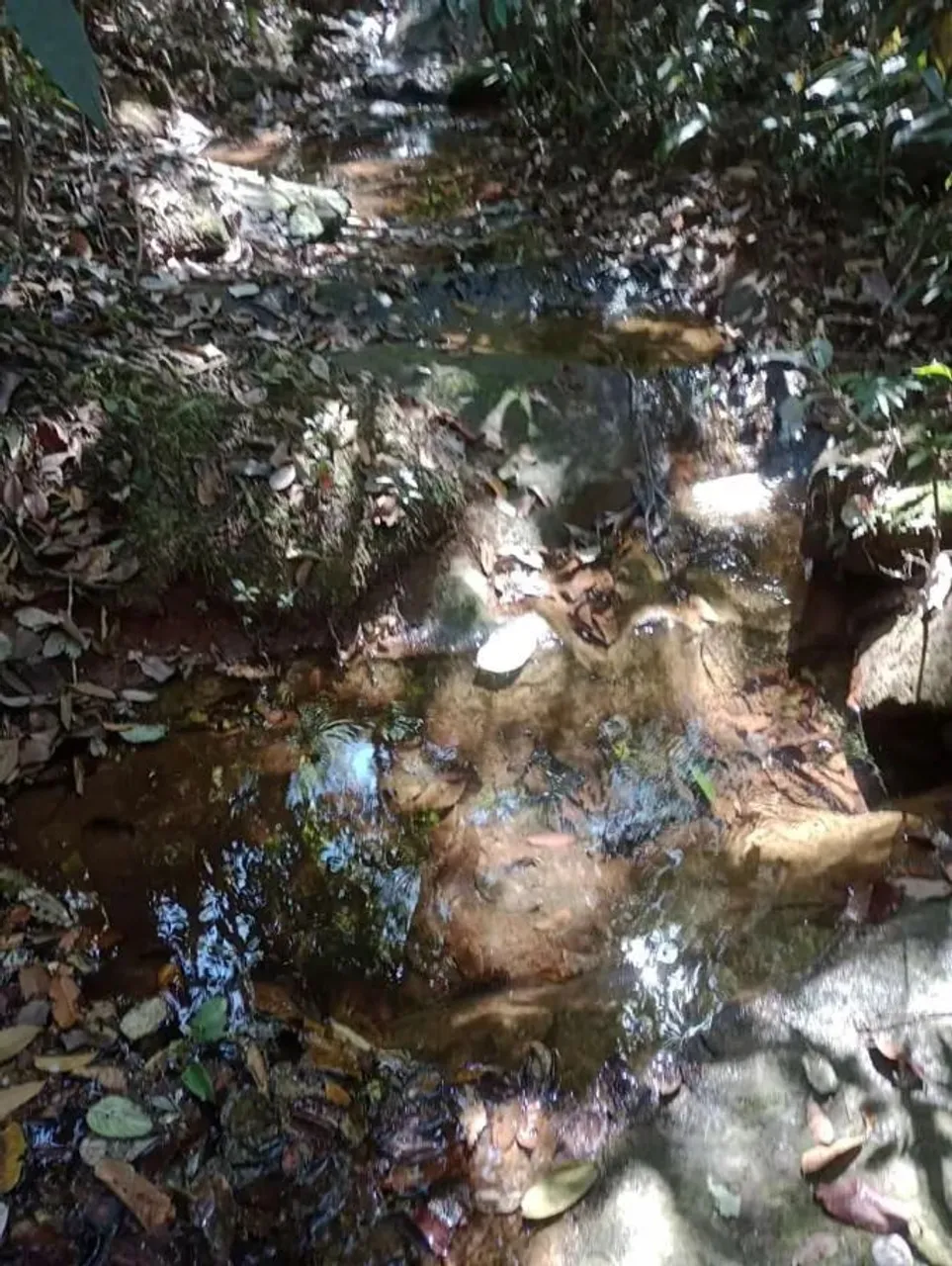 Chácara à Venda, 20.000m2 perto de Brasília, Parcelas A Partir de 999,00