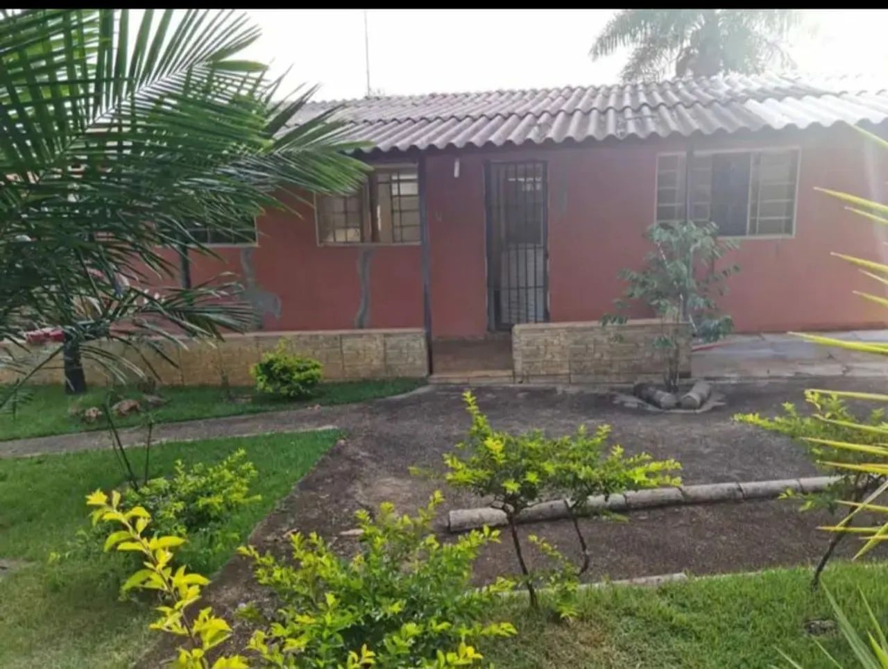 Vendo chácara formada ! - Foto 4