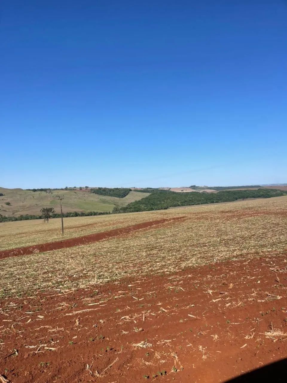Fazenda Londrina -Pr 