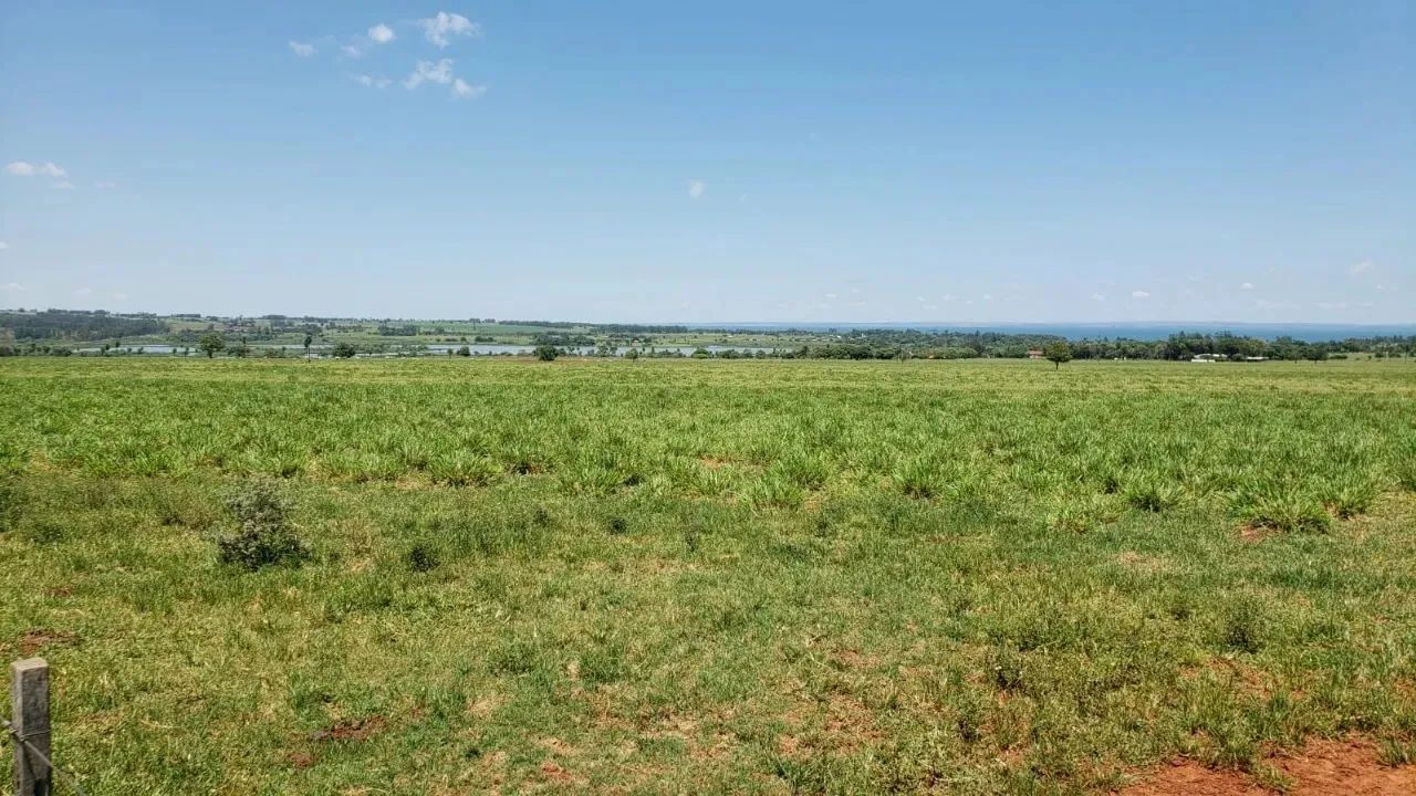 EXCELENTE FAZENDA A VENDA NA PECUÁRIA NA REGIÃO DE PRESIDENTE PRUDENTE - SP ?? Área Total: - Foto 2