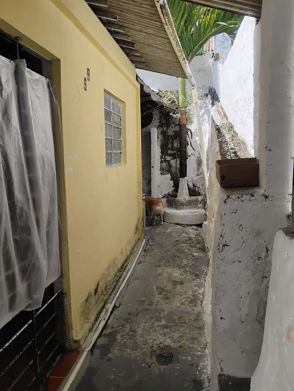 Foto - Jaboatão dos Guararapes - Dois Carneiros